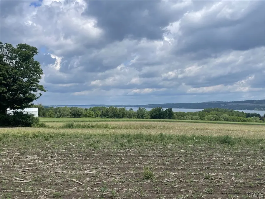 1676 W Lake Road, Skaneateles, NY 13152 - #3