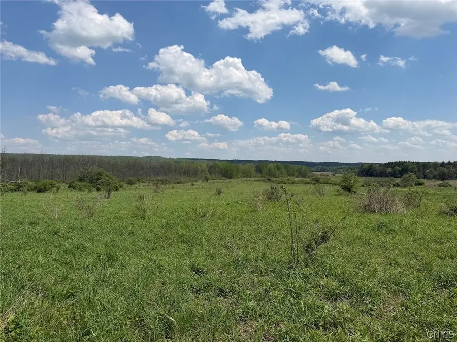 Dye Road, South Dayton, NY 14138 - #3