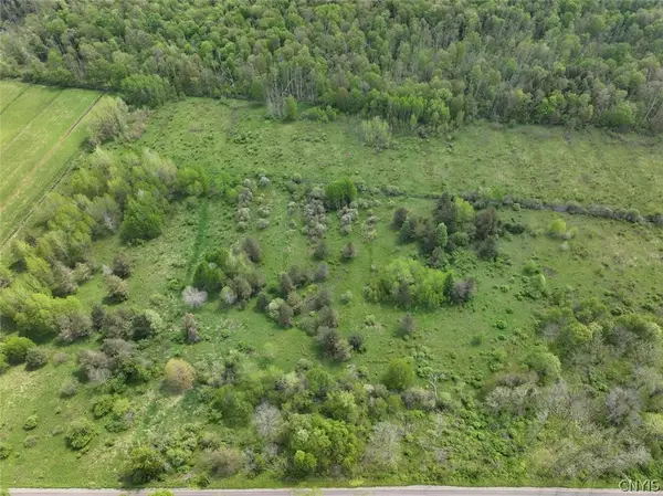 Dye Road, South Dayton, NY 14138