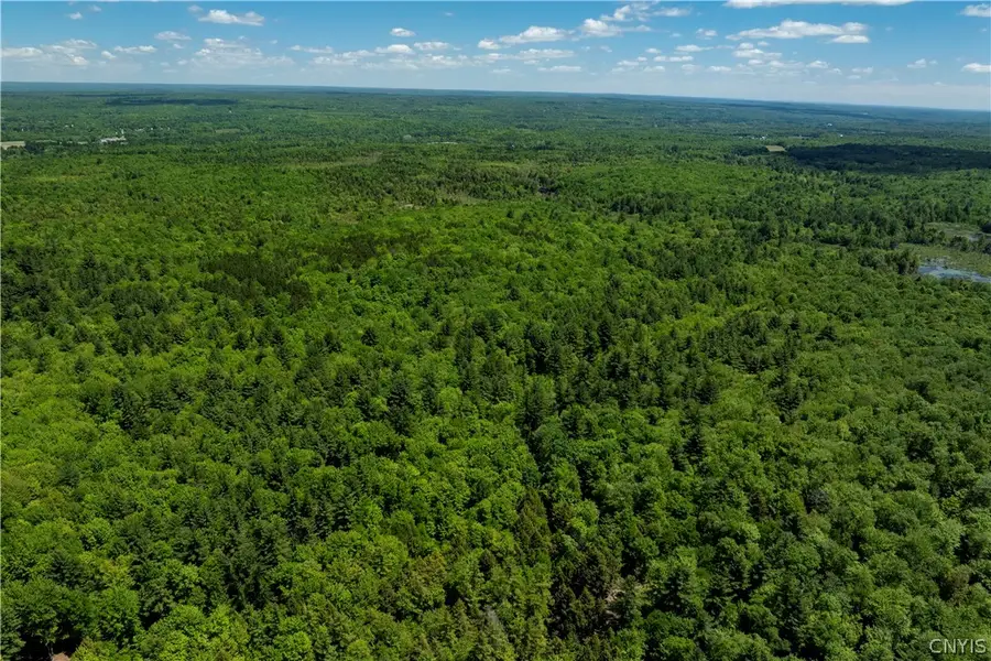 Island Road, Williamstown, NY 13493 - #2