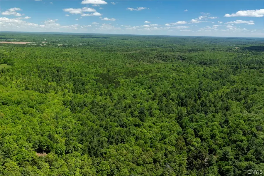 Island Road, Williamstown, NY 13493 - #3