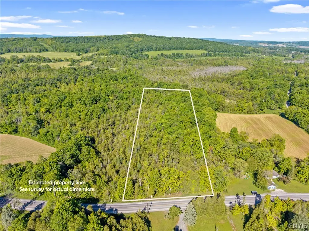 Nelson Road, Fenner, NY 13035 - #1