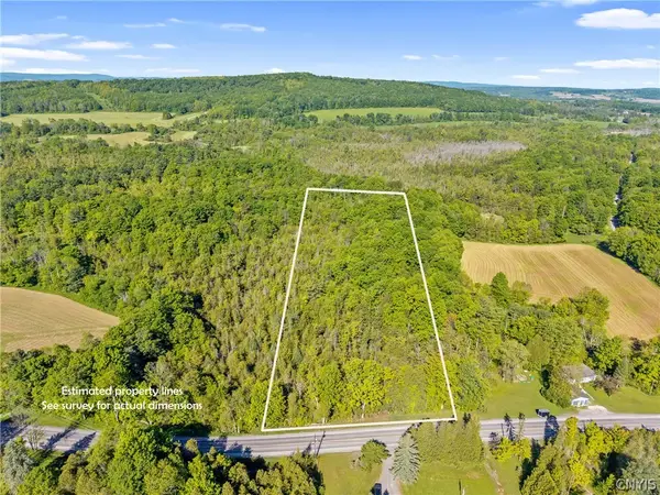 Nelson Road, Fenner, NY 13035
