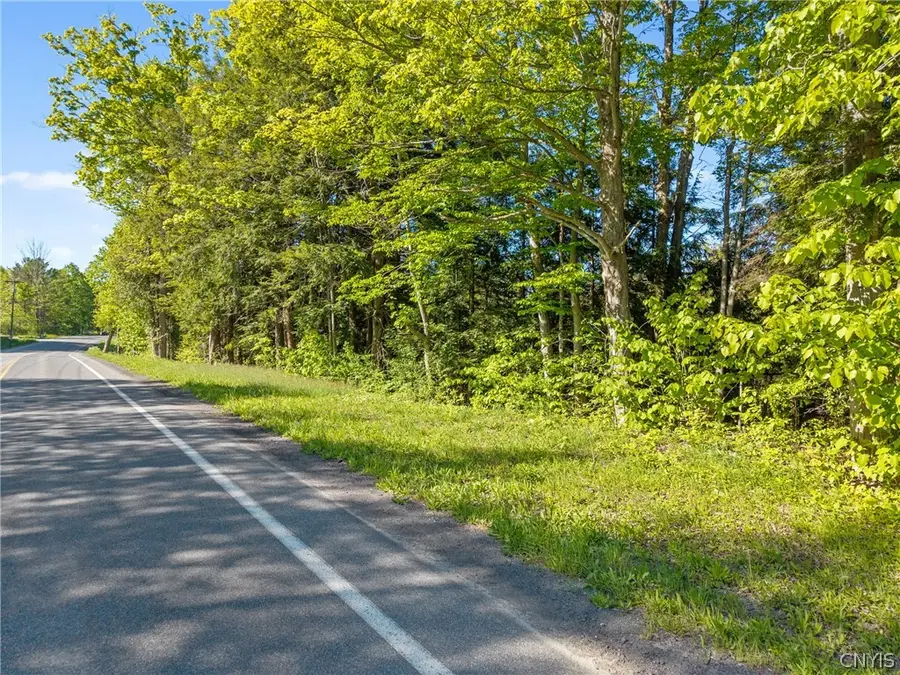Nelson Road, Fenner, NY 13035 - #2