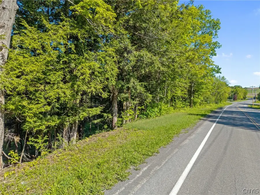 Nelson Road, Fenner, NY 13035 - #3