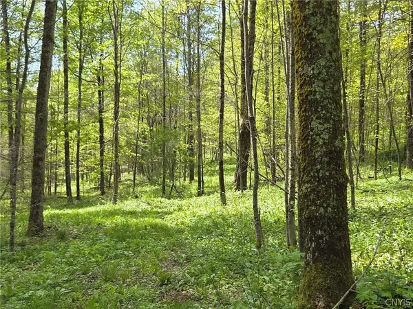 Skaneateles Tpke, Brookfield, NY 13355