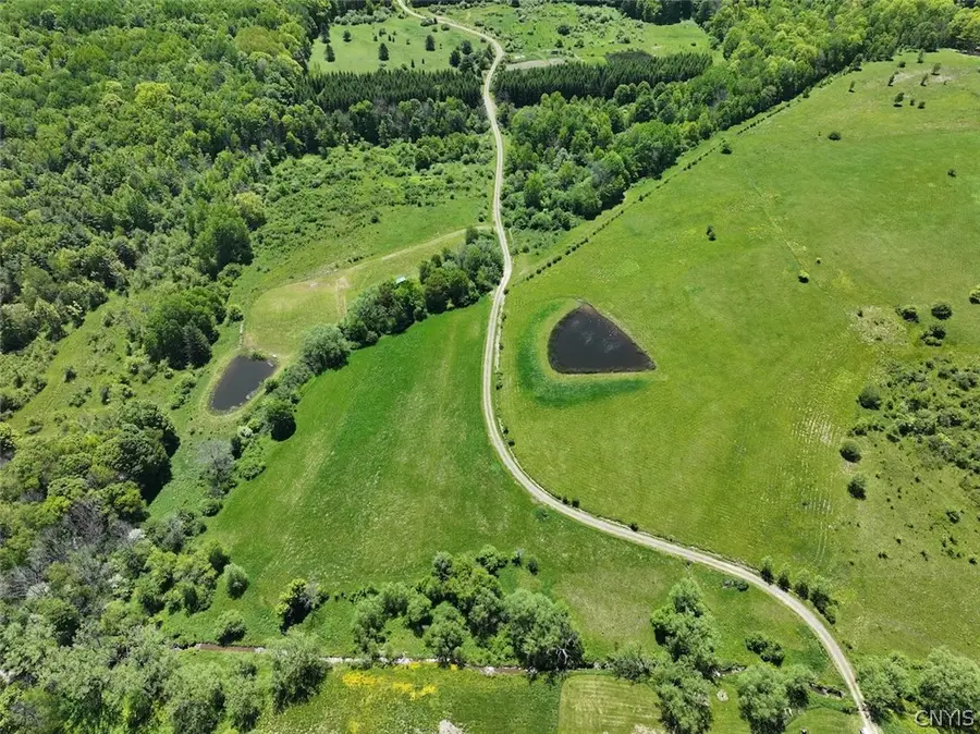 N Branch Road, Friendship, NY 14739 - #3