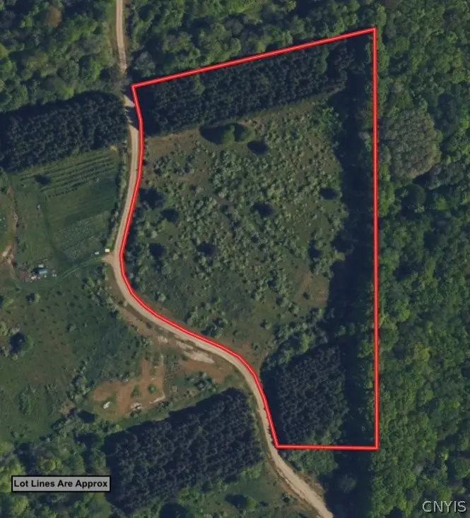N Branch Road, Friendship, NY 14739 - #2