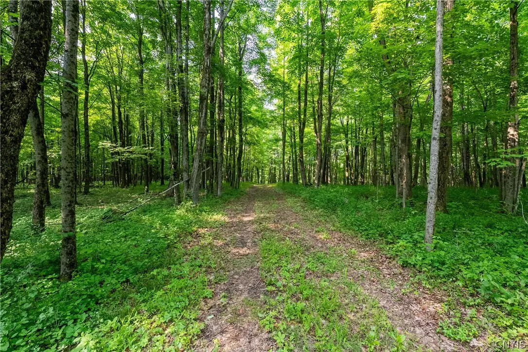 Cummings Road, Lacona, NY 13083 - #1
