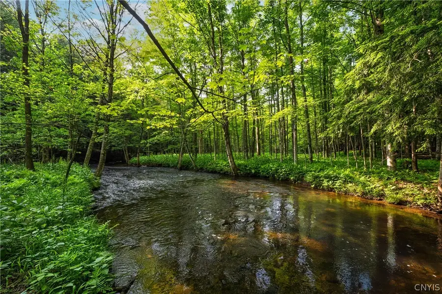 Cummings Road, Lacona, NY 13083 - #3