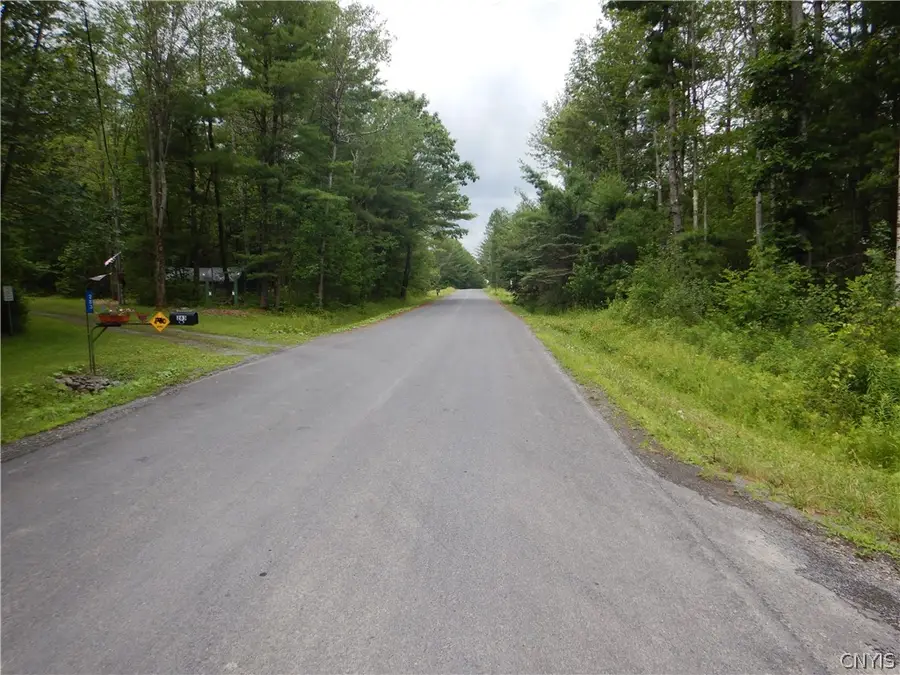 Bull Hill Road, Newfield, NY 14867 - #3