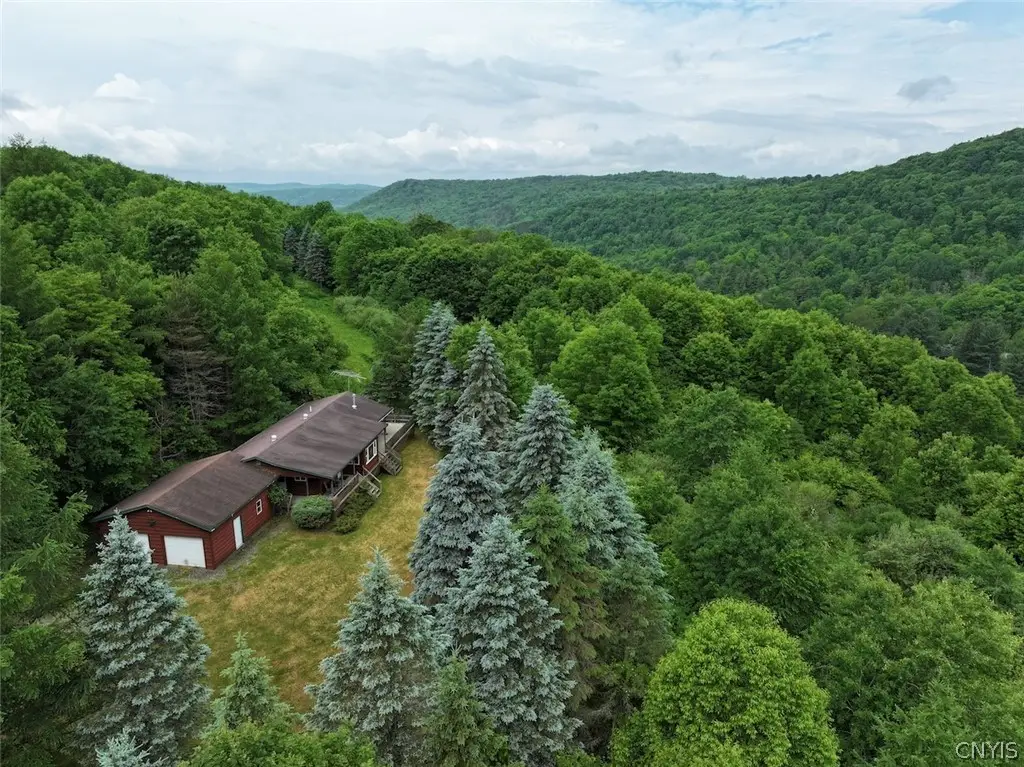 3773 Haskell Valley View Road, Cuba, NY 14786 - #1