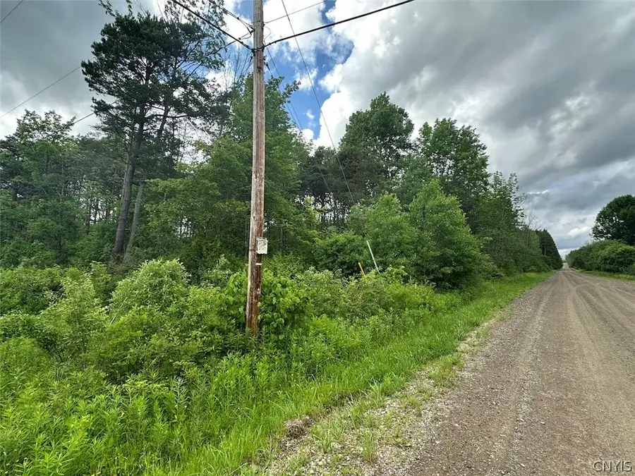 Townline Road, Angelica, NY 14709 - #2