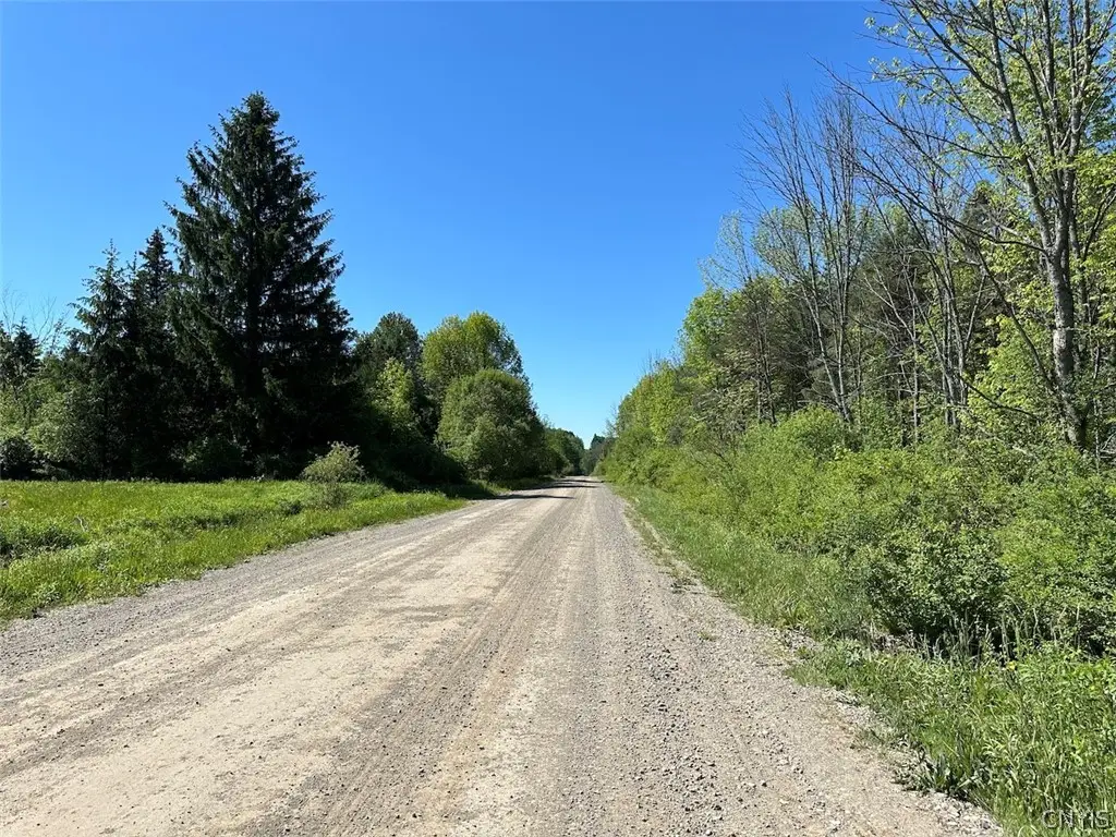 Townline Road, Angelica, NY 14709 - #1