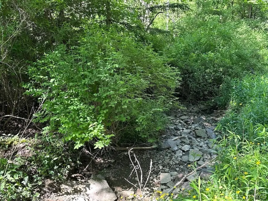 Townline Road, Angelica, NY 14709 - #3