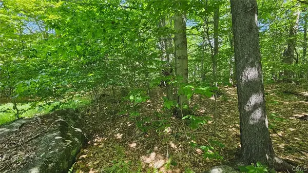 Summit Place, Old Forge, NY 13420