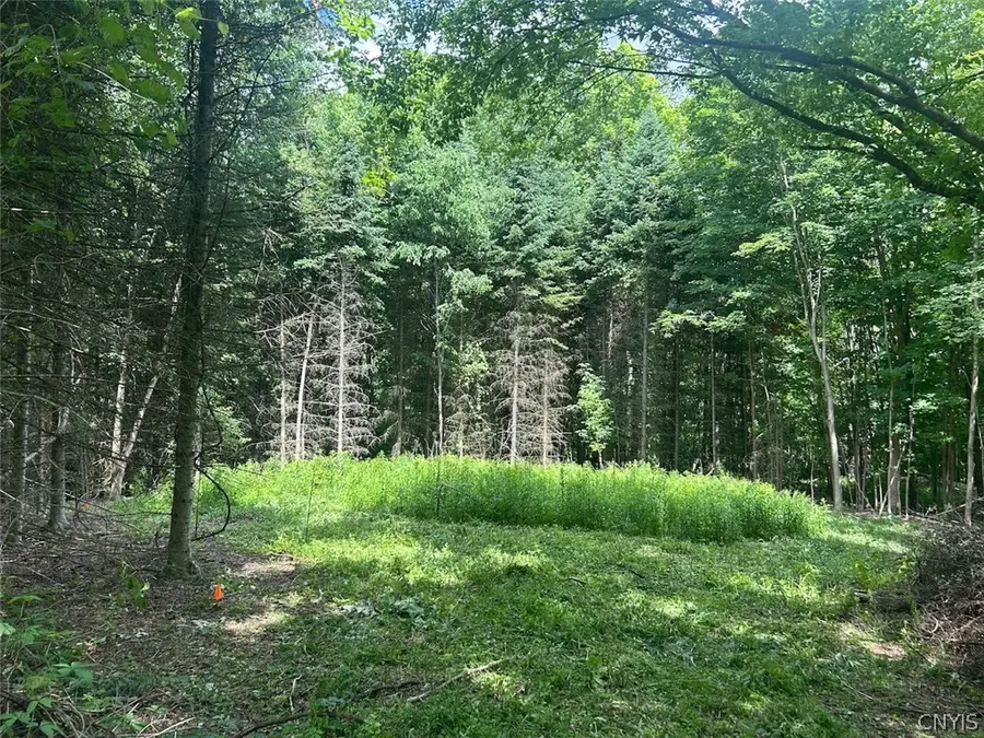 6201 Us-20, La Fayette, NY 13084 - #2