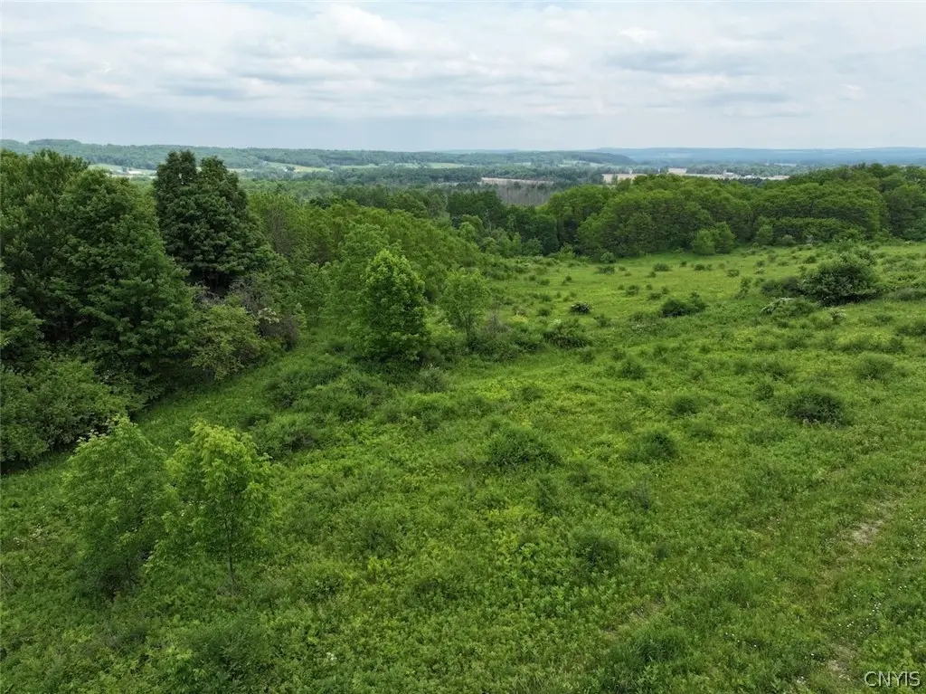 Dye Road, South Dayton, NY 14138 - #1