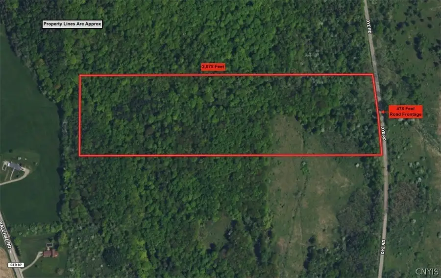 Dye Road, South Dayton, NY 14138 - #2