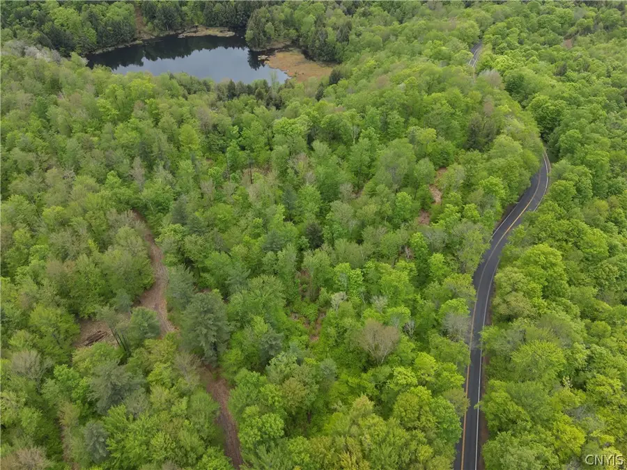 00 Hawkinsville Road, Forestport, NY 13338 - #3