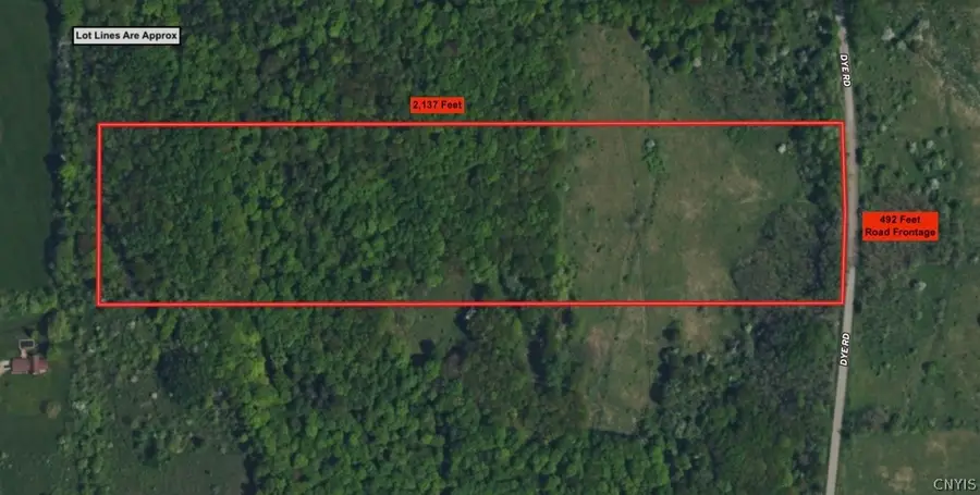 Dye Road, South Dayton, NY 14138 - #2