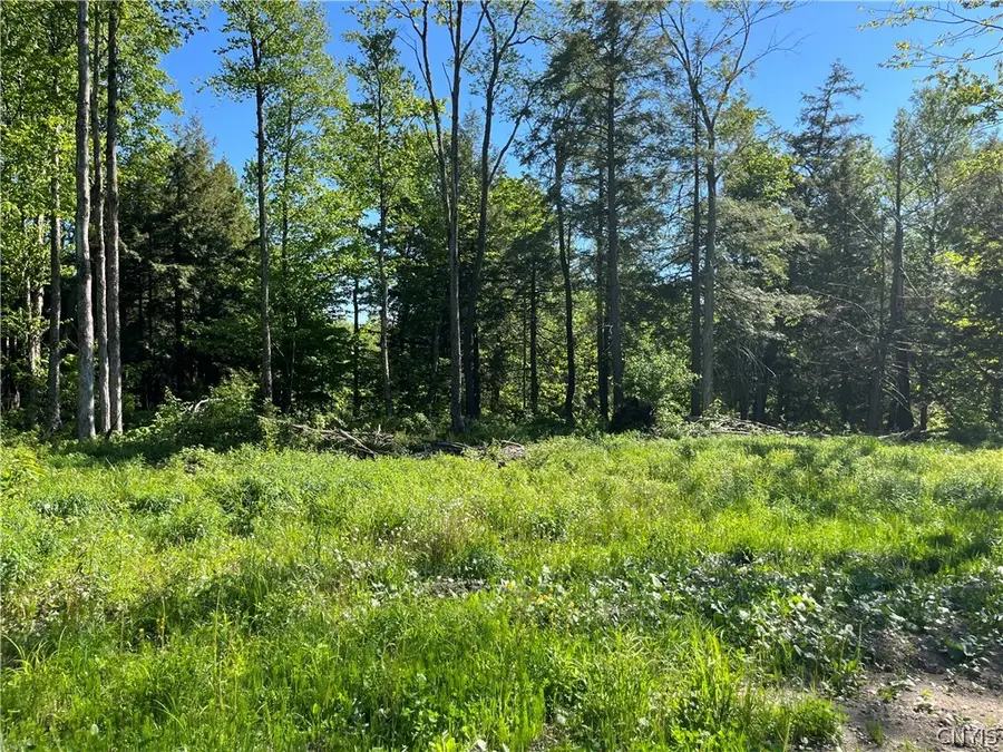 0 Co Rt 17, Redfield, NY 13437 - #2