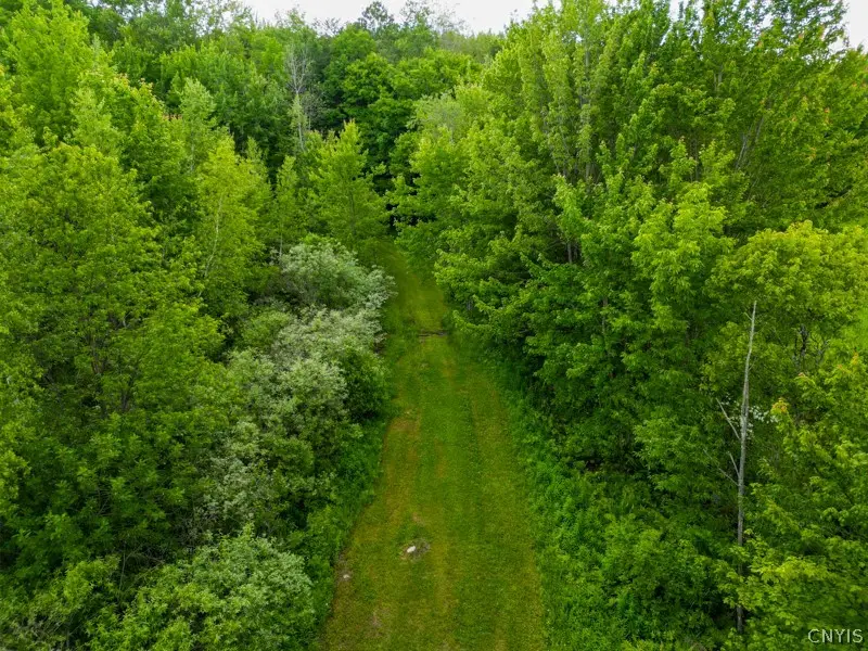 8031 Benson Road, Holland Patent, NY 13354 - #2