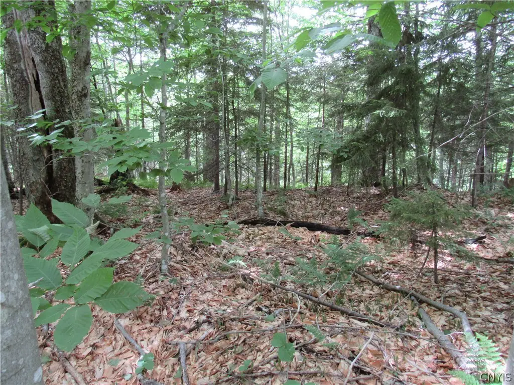Palisades Road, Old Forge, NY 13420 - #1