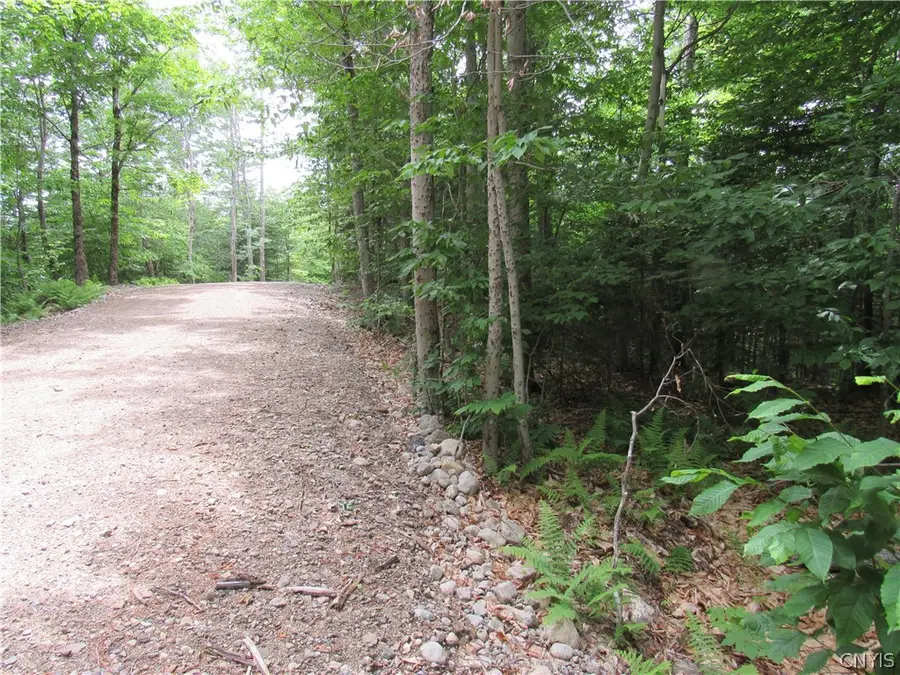 Palisades Road, Old Forge, NY 13420 - #2