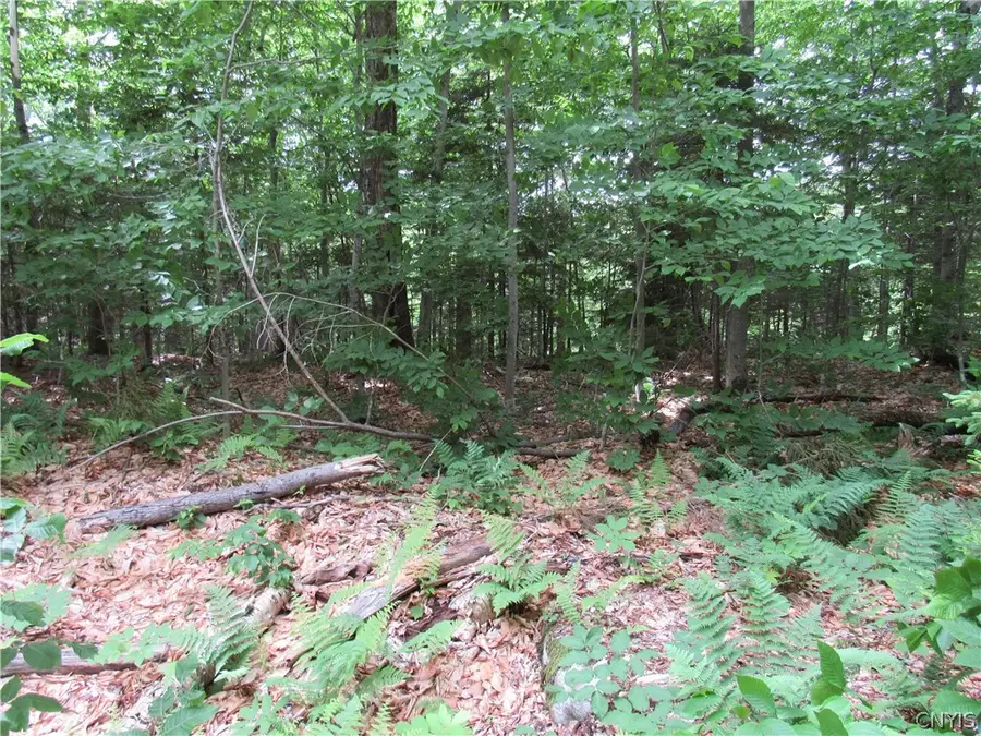 Palisades Road, Old Forge, NY 13420 - #3