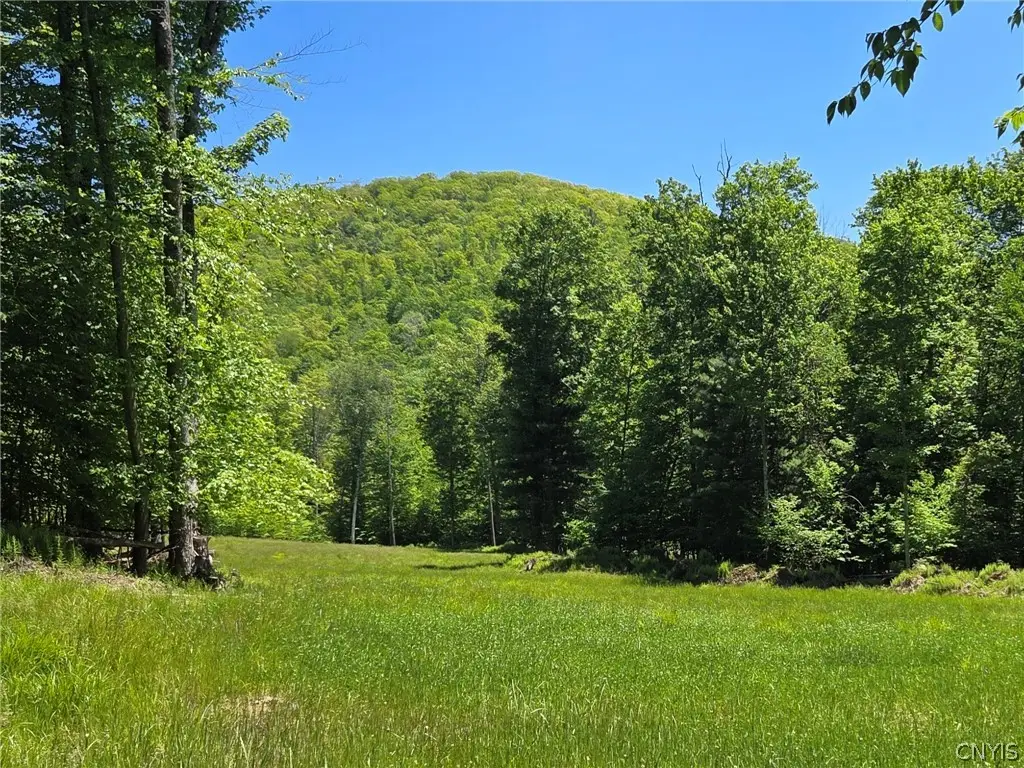 Lillibridge Rd, Olean, NY 14760 - #1