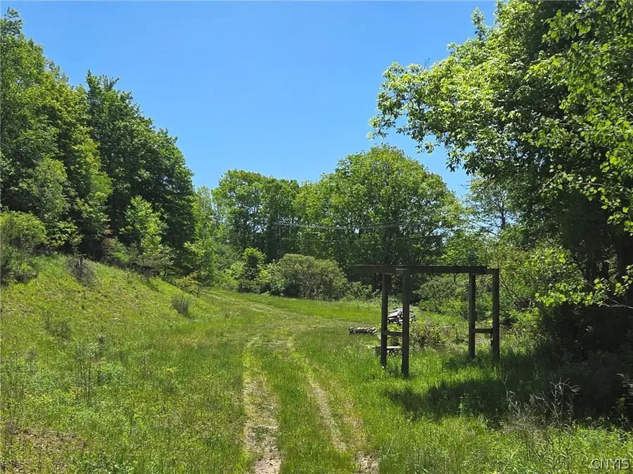 Lillibridge Rd, Olean, NY 14760 - #3