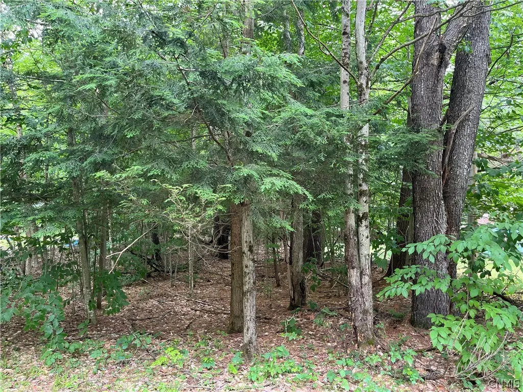 Pine Cone Lane, Glenfield, NY 13343 - #1
