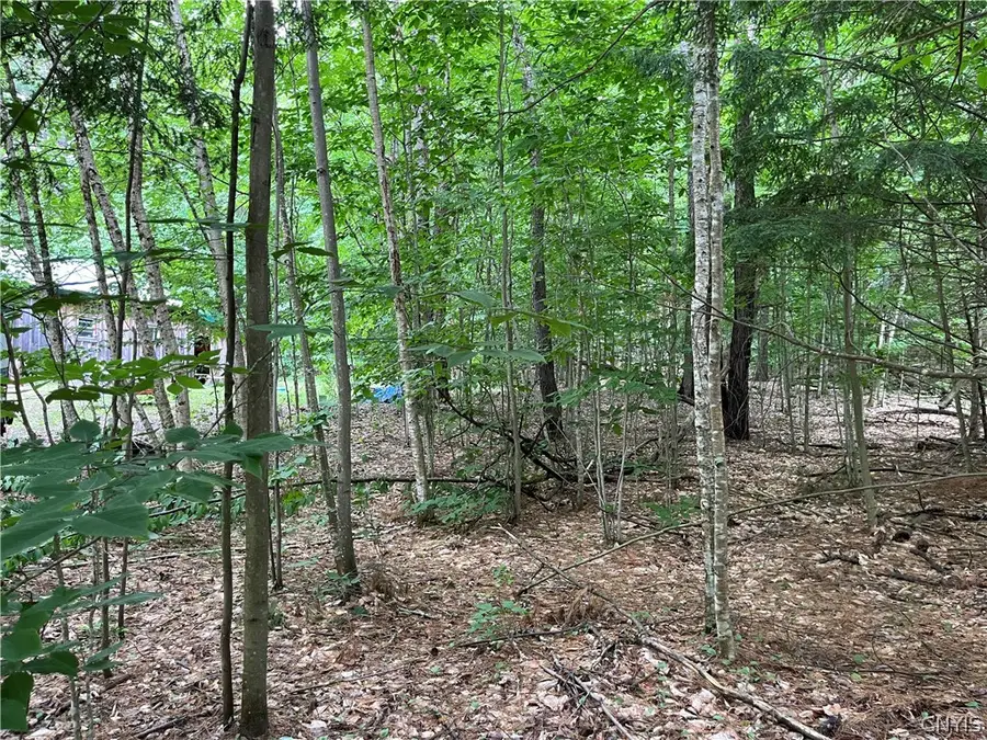 Pine Cone Lane, Glenfield, NY 13343 - #3