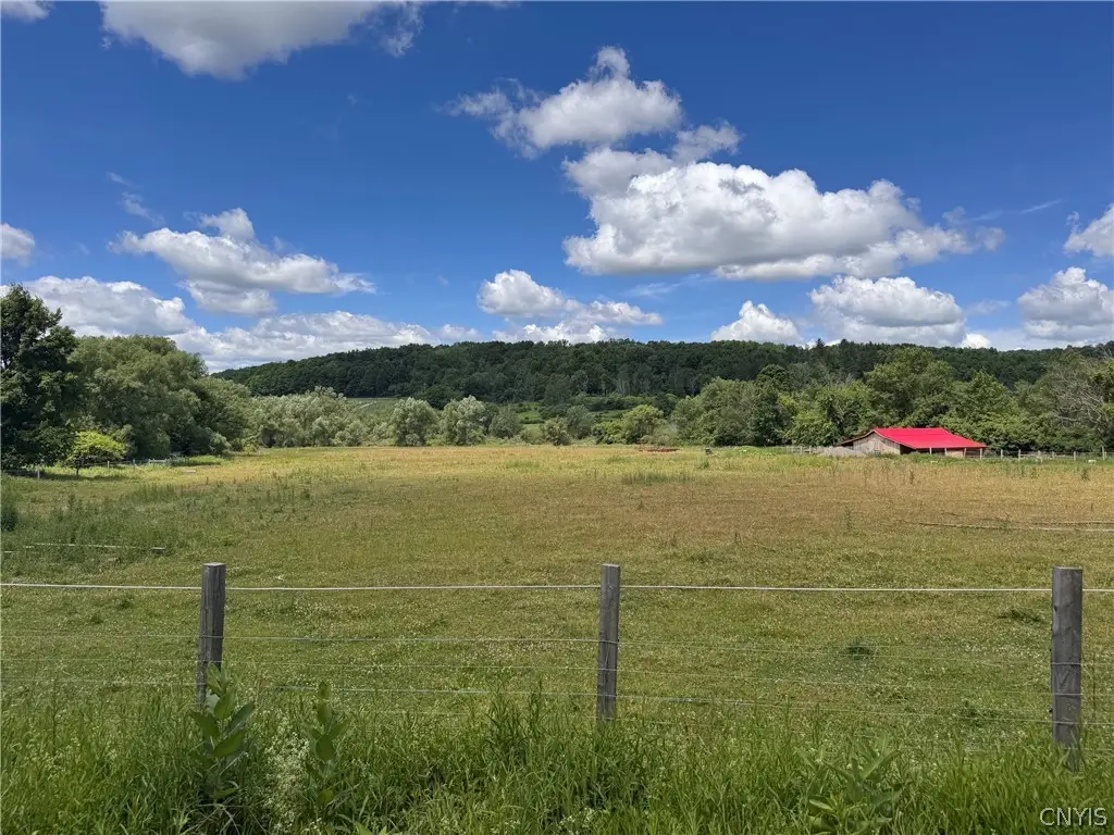 0 E Lake Road, Lebanon, NY 13346 - #1