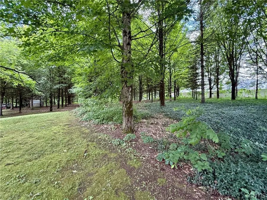 Vida Drive, Williamstown, NY 13493 - #3