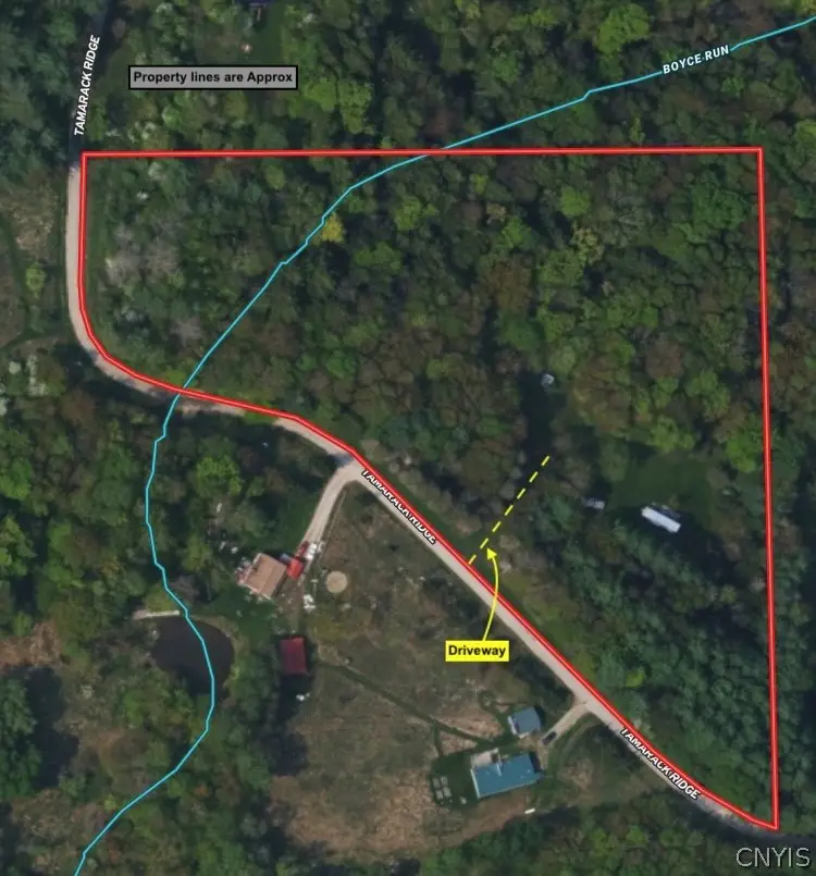 3846 Tamarack Ridge Road, Franklinville, NY 14737 - #2