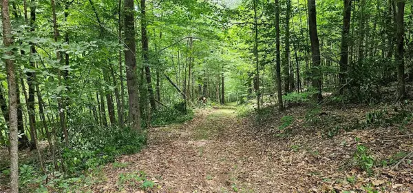 Cr-16, Beaver Dams, NY 14812