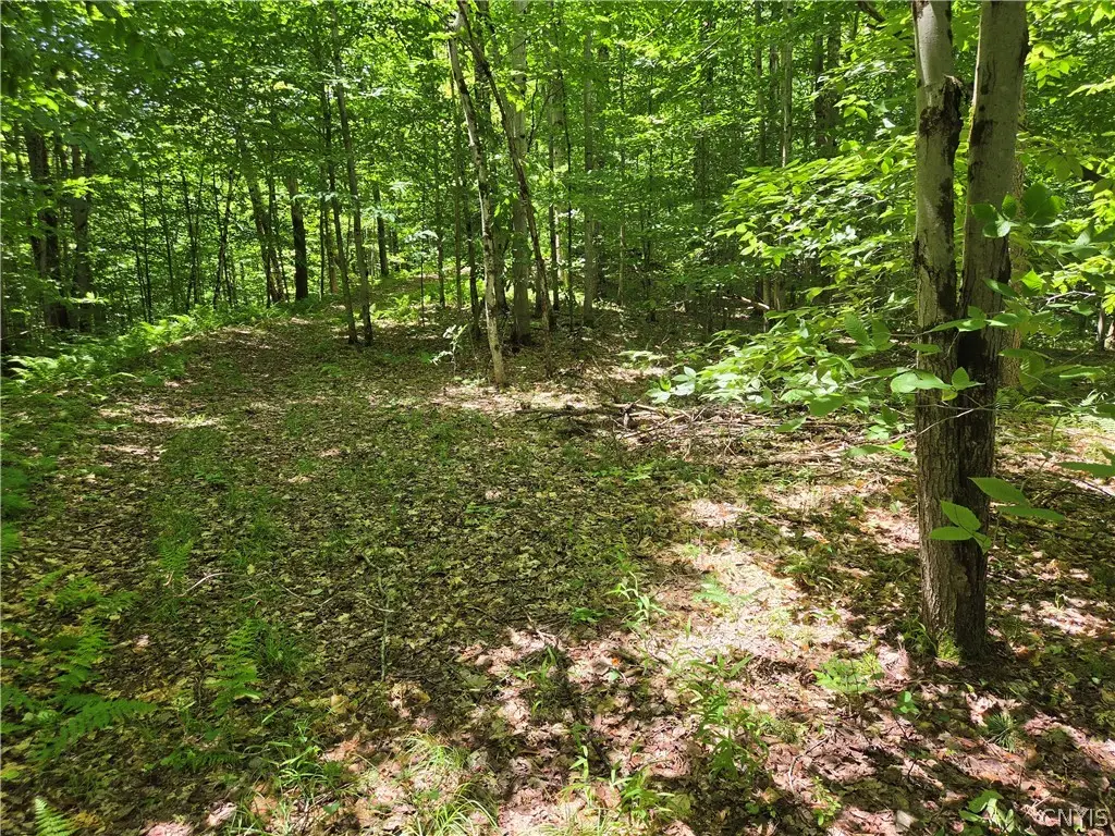Moose River Road, Port Leyden, NY 13433 - #1
