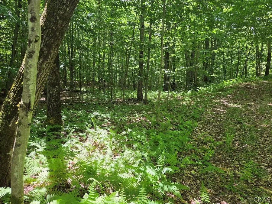 Moose River Road, Port Leyden, NY 13433 - #2