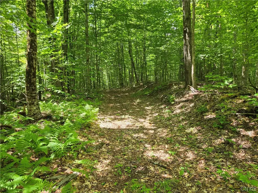 Moose River Road, Port Leyden, NY 13433 - #3
