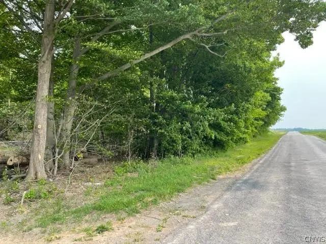 Harp Rd Road, Canastota, NY 13032 - #2