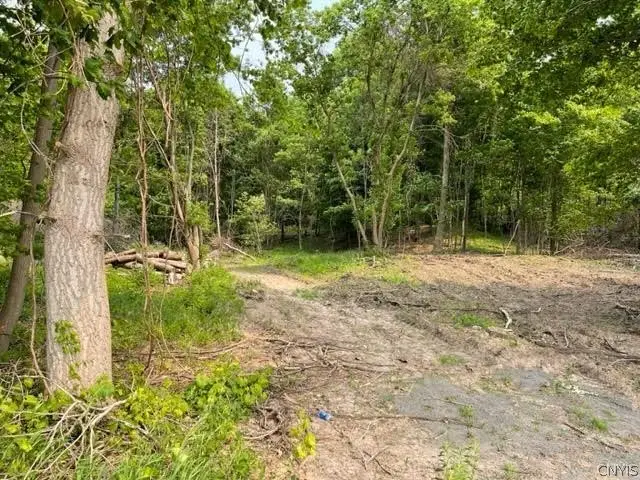 Harp Rd Road, Canastota, NY 13032 - #3