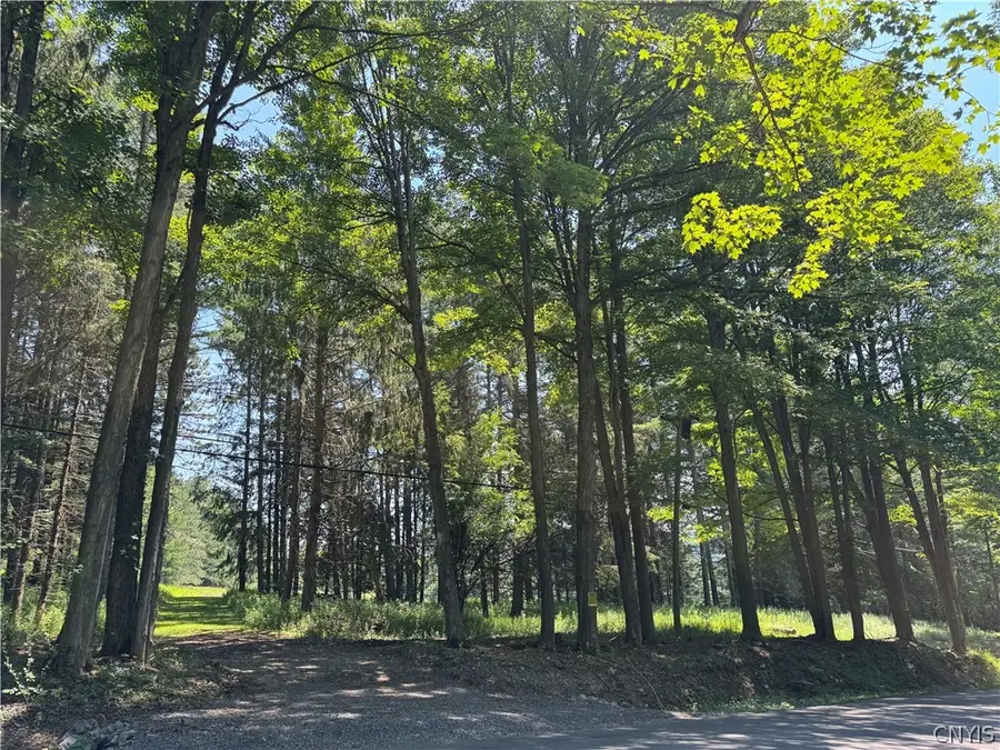 1 Bonney Hill Road, Hamilton, NY 13346 - #2
