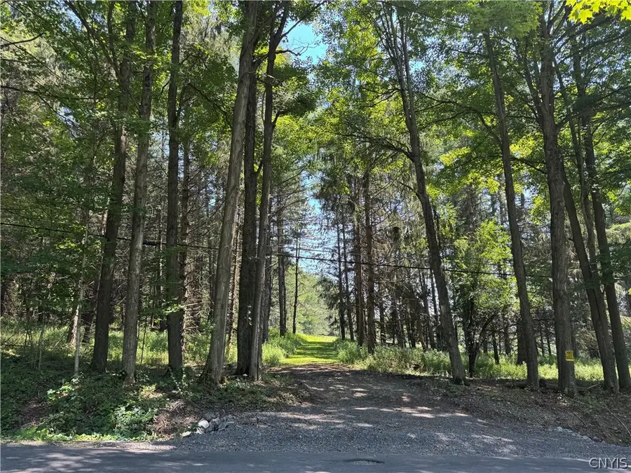1 Bonney Hill Road, Hamilton, NY 13346 - #3