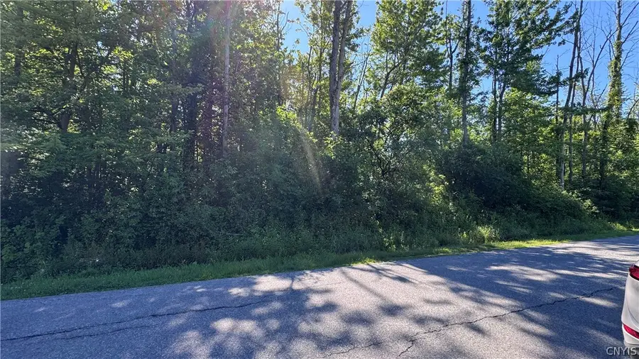 Lewis Point Road, Canastota, NY 13032 - #2