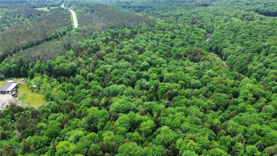 Lot 112 Rt-8, Cold Brook, NY 13324 - #2