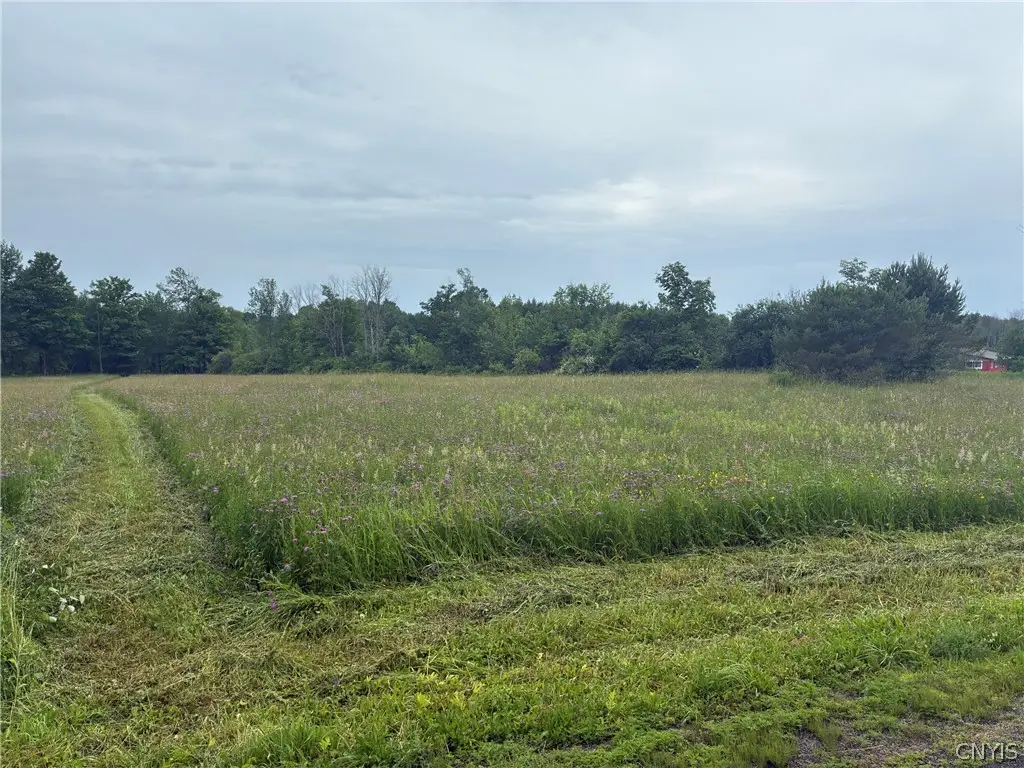 00 Starr Hill Road, Steuben, NY 13438 - #1