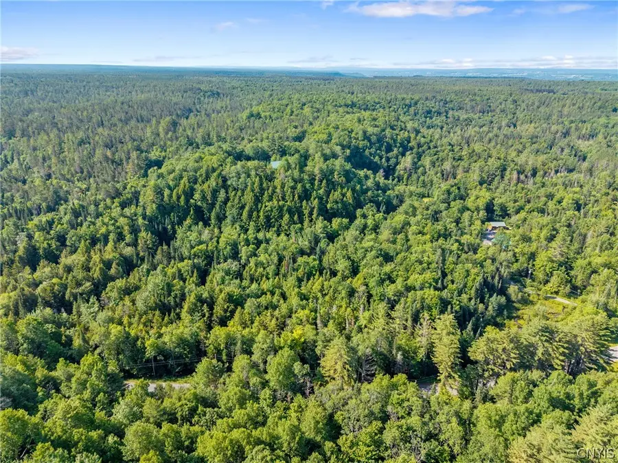 Fish Creek Road, Greig, NY 13345 - #3