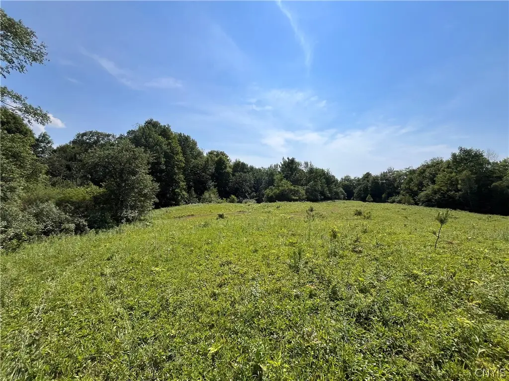 Center Road, Lacona, NY 13083 - #1